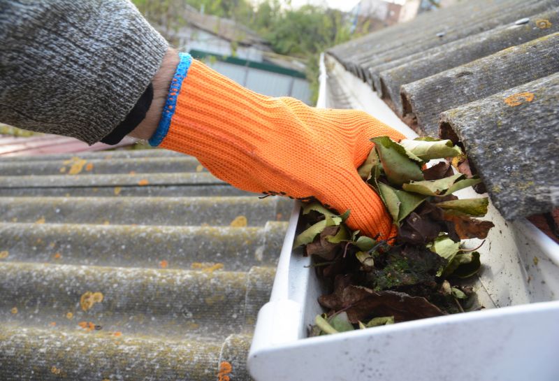 Gutter Cleaning in Annapolis, MD