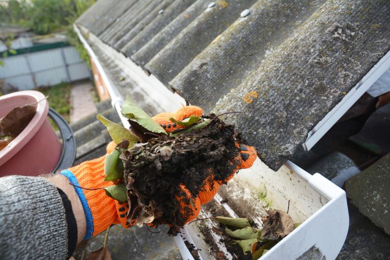 Roof Gutter Cleaning in Richmond, VA